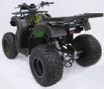   MOWGLI  ATV 200 LUX blackstep -  .       
